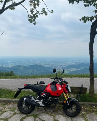 Honda grom 125