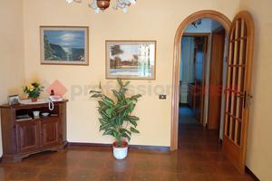 Rustico/Casale/Corte Lucca [UL116FRVRG]