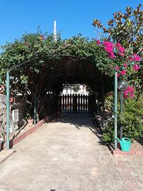 Bilocale con giardino San Teodoro