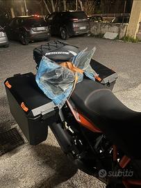 Borse rigine ktm 1290 adv 2019