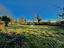 Immagine 20