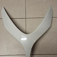 carena anteriore tmax