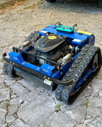 Effettuo Taglio erba con Robot vedi descrizione
