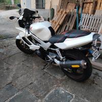 Honda VTR 1000 - 2001