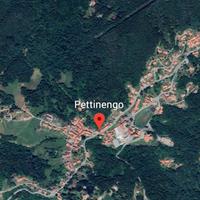 Compendio terreni boschi vigneto 2ruderi