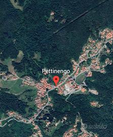 Compendio terreni boschi vigneto 2ruderi