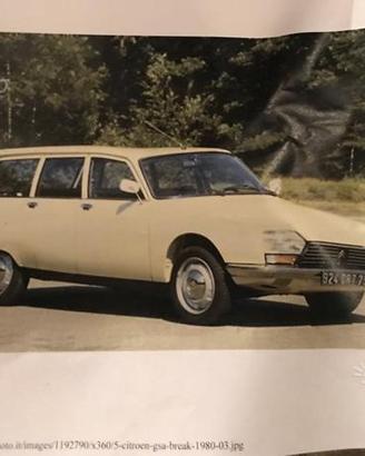 Ricambi per Citroen gsa