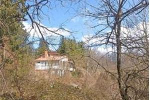 RGE 78/2024 - Tribunale di Urbino