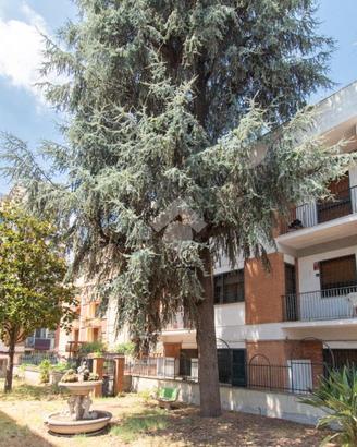 2 LOCALI A ROMA