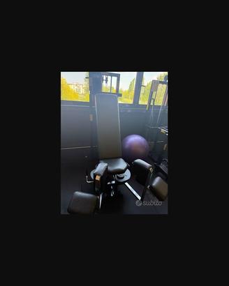 Adductor Machine Technogym,