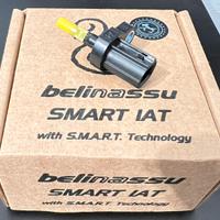 Smart iat belinassu triumph speed twin 900 1200