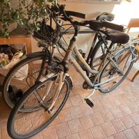 Due biciclette usate, una da uomo ed una da donna