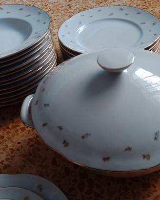 Richard Ginori Servizio piatti da 12 completo 58p.