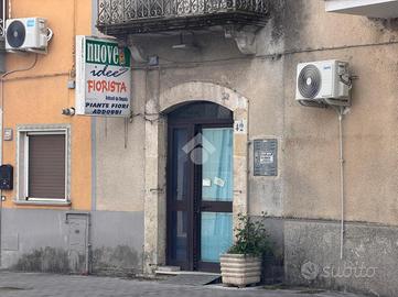NEGOZIO A POZZILLI