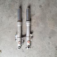 forcelle phantom f12