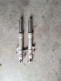 forcelle phantom f12