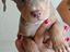 Immagine 1