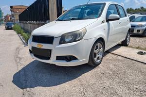 ASSICURATA 12 MESI EURO 500 ANNUI