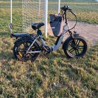 Bici elettrica ebike fatbike a pedalata assistita