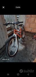 bicicletta 24
