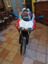 ducati 996