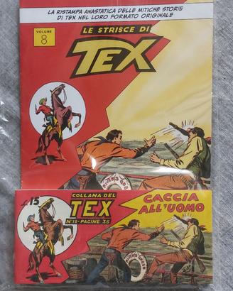 STRISCE DI TEX N.8