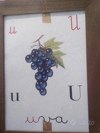 Pannello illustrativo originale lettere alfabeto