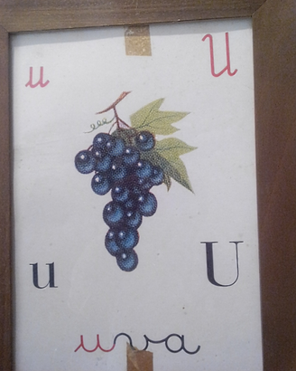 Tavole abecedario vintage