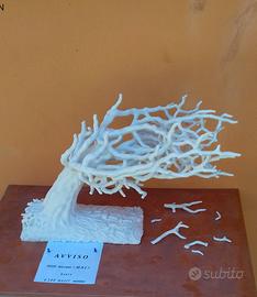 Opera Geniale ALBERO di SARDEGNA