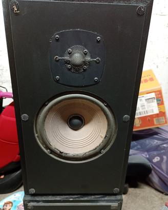 Coppia casse Audio pro 