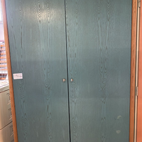 Armadio Verde Acqua 2 Ante