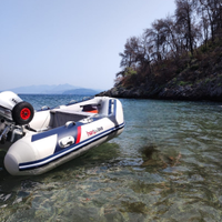 Tender Hondawave T27 e motore Honda 6 CV
