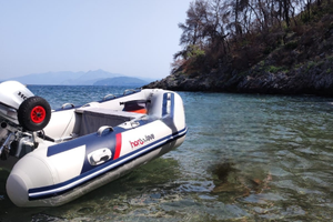 Tender Hondawave T27 e motore Honda 6 CV