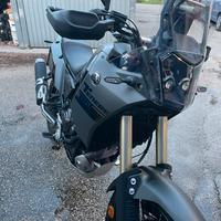 Tenere" 700 2024