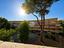 Immagine 7