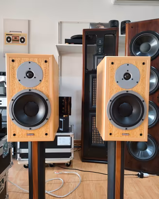 Dynaudio Special Twenty-Five 25 Coppia Diffusori