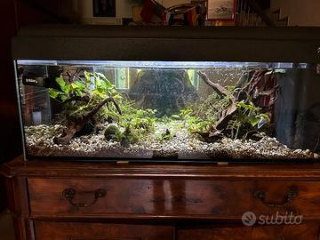 Acquario 100 lt