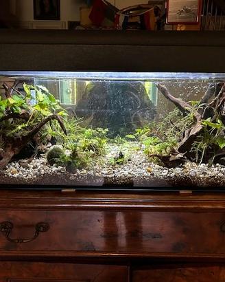 Acquario 100 lt