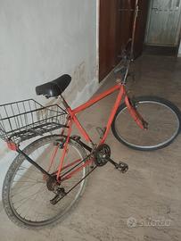 bicicletta