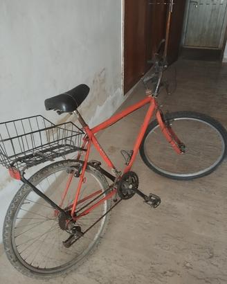 bicicletta