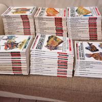 Collana ESERCITI e BATTAGLIE