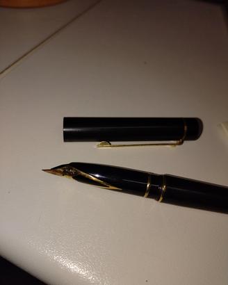 Penna stilografica 