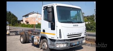 IVECO 65E16 anno 2007 a telaio passo 3105