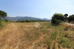 TER. AGRICOLO A AGROPOLI