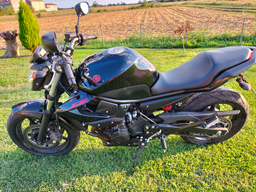 Yamaha xj6