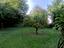 Immagine 19