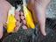 Immagine 2