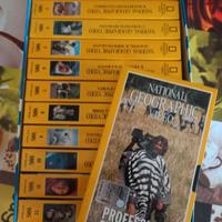 12 videocassette National Geographic