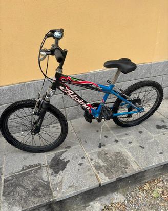 Bici bimbo 20” Alpina