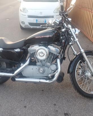 Harley Davidson 883